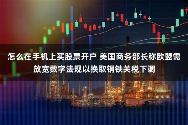 怎么在手机上买股票开户 美国商务部长称欧盟需放宽数字法规以换取钢铁关税下调